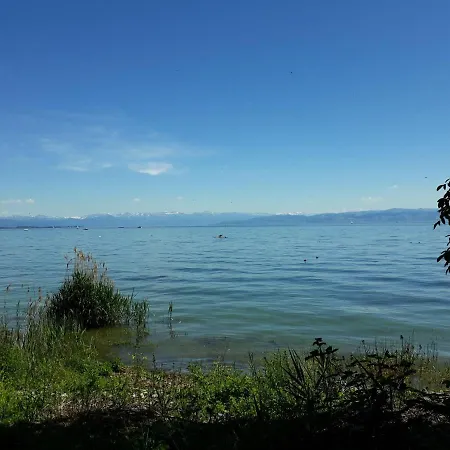Bodensee-ferienwohnung Friedrichshafen